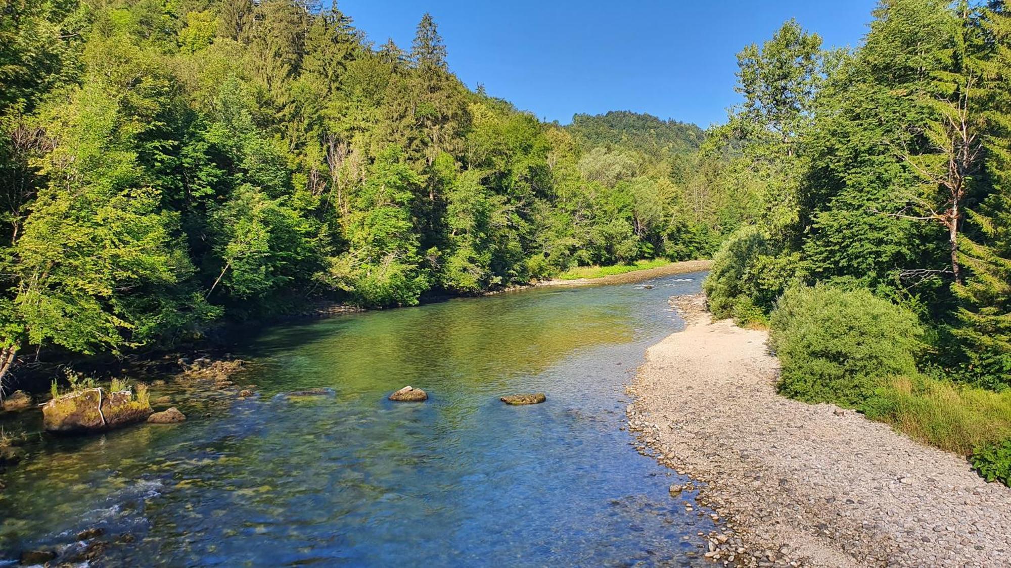 Eco River Camp - Pitches Radovljica Eksteriør bilde